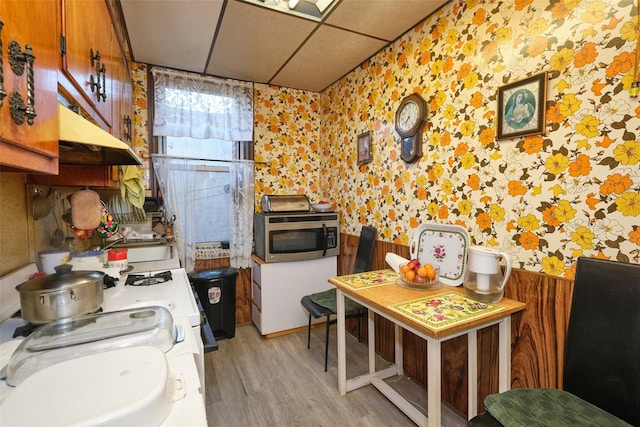 kitchen with a paneled ceiling, sink, and light hardwood / wood-style flooring