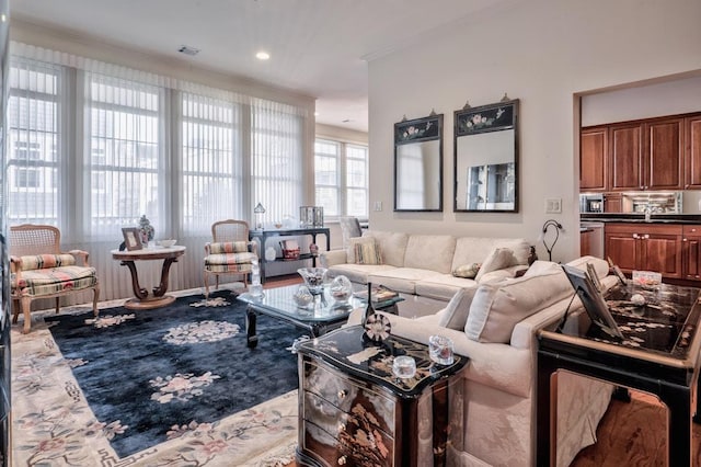 living room featuring sink and ornamental molding