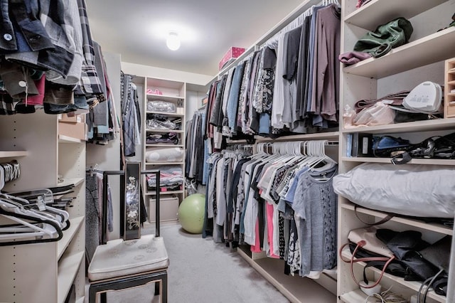 walk in closet featuring carpet flooring