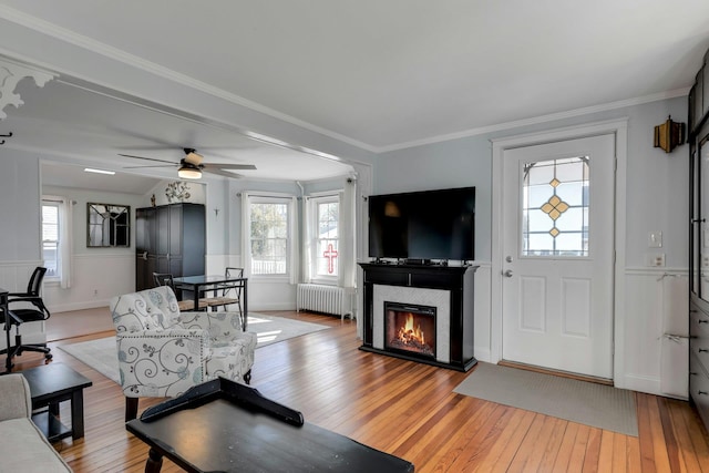 living room with crown molding, ceiling fan, radiator heating unit, and light hardwood / wood-style floors