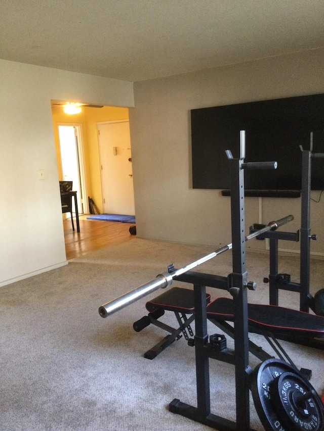 exercise room featuring carpet flooring