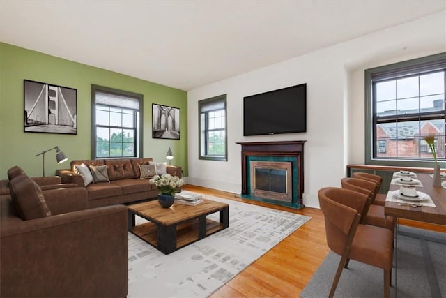 living room with hardwood / wood-style flooring