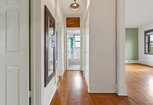 hallway featuring hardwood / wood-style flooring