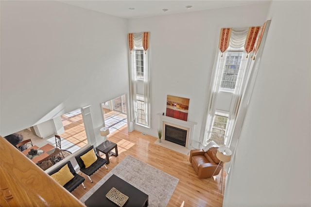 living room with light hardwood / wood-style flooring