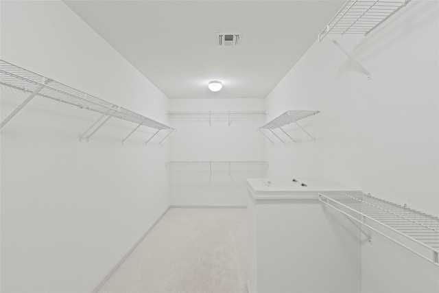 view of walk in closet