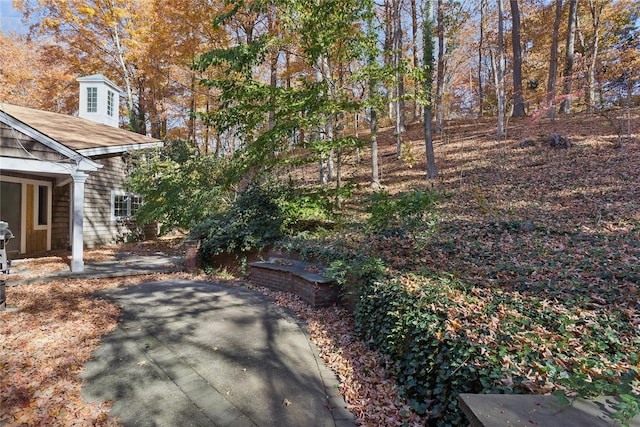 view of yard with a patio