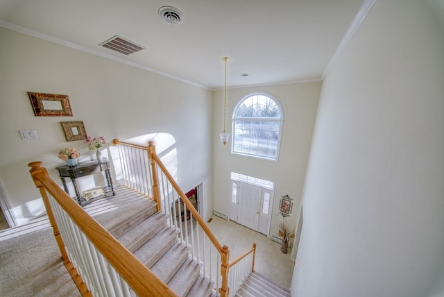 stairway with carpet and ornamental molding