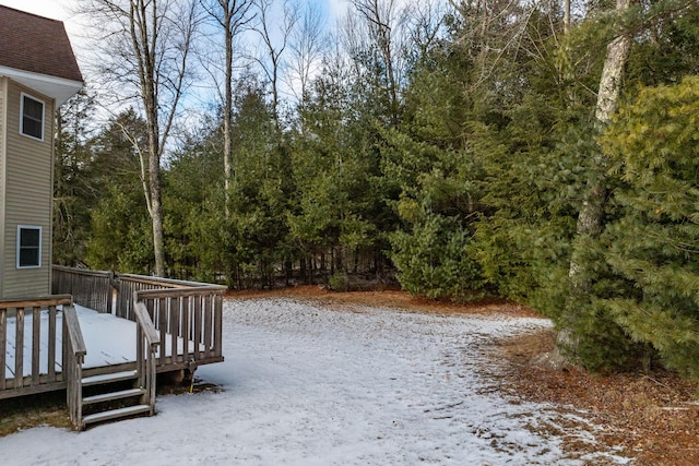 19 Forest Ln, Monticello, NY 12701 - photo 42