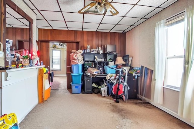 storage with ceiling fan