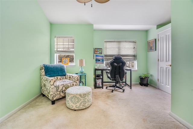 office space featuring ceiling fan and carpet flooring