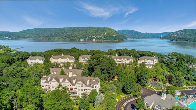 birds eye view of property with a water and mountain view