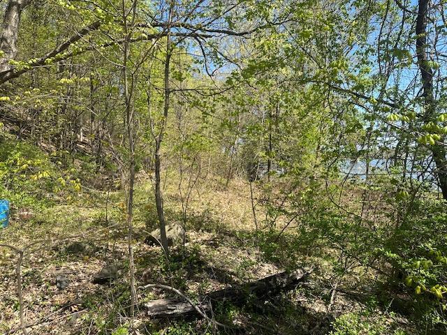 29 Oakes Rd, Highland, NY 12528 - photo 17
