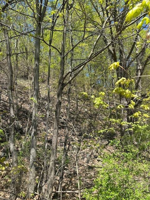 29 Oakes Rd, Highland, NY 12528 - photo 18
