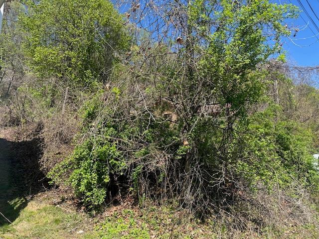 29 Oakes Rd, Highland, NY 12528 - photo 10