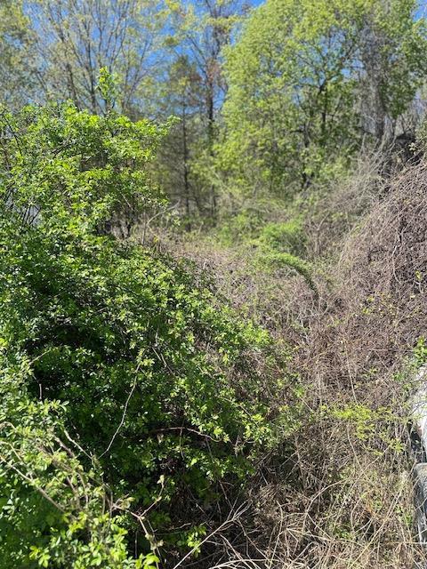 29 Oakes Rd, Highland, NY 12528 - photo 11