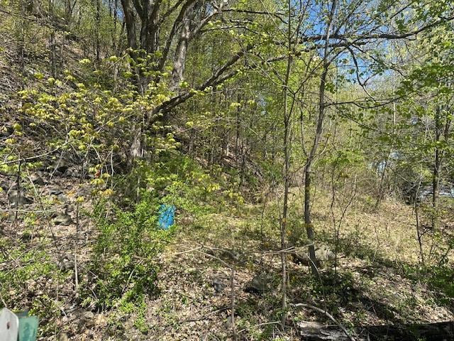 29 Oakes Rd, Highland, NY 12528 - photo 16