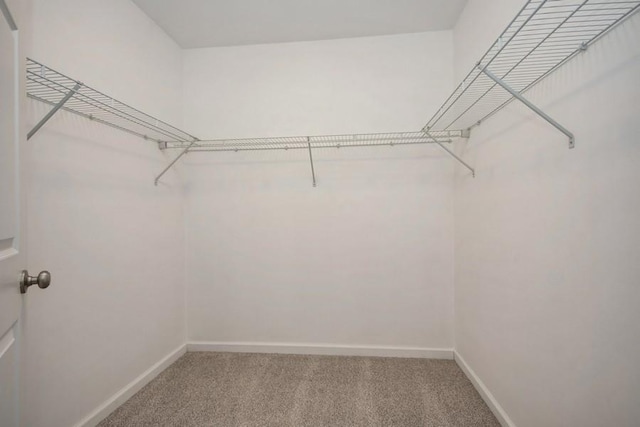 spacious closet with carpet