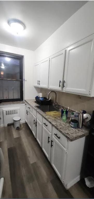 bathroom with hardwood / wood-style flooring, radiator heating unit, and sink