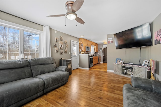 living room with ceiling fan and light wood-type flooring