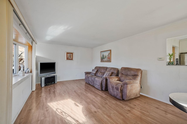 living room featuring light wood-type flooring