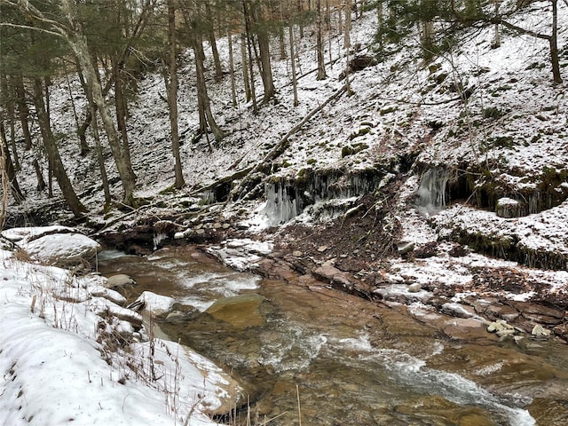 Carcass Brook Spur, Hancock NY, 13783 land for sale