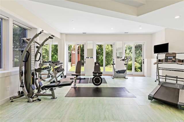 exercise area with a wealth of natural light