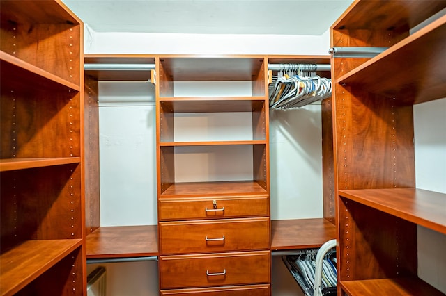 view of spacious closet