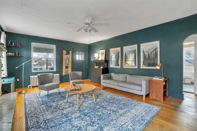 living room featuring ceiling fan, plenty of natural light, radiator heating unit, and light wood-type flooring