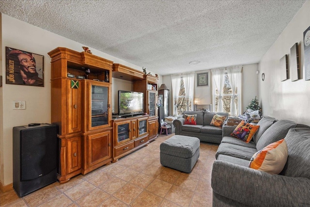 living room featuring a textured ceiling