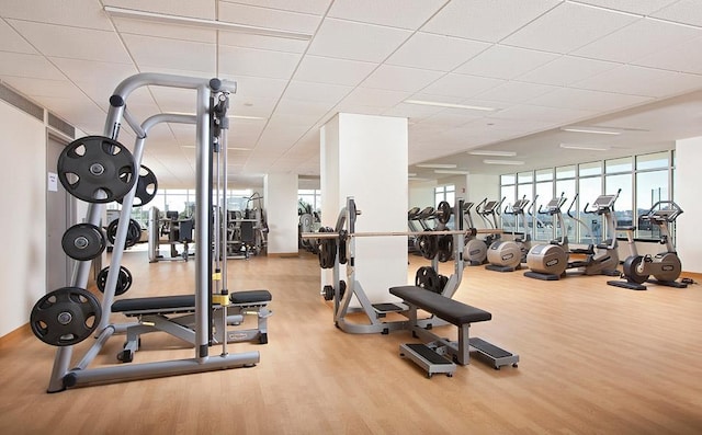 workout area featuring floor to ceiling windows and wood-type flooring