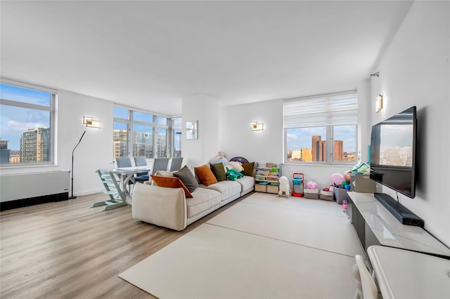 living room featuring light hardwood / wood-style floors