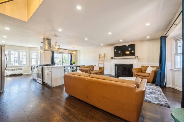 living room with dark hardwood / wood-style flooring and radiator heating unit