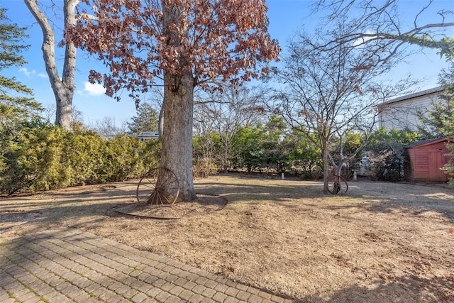 view of yard featuring a storage unit