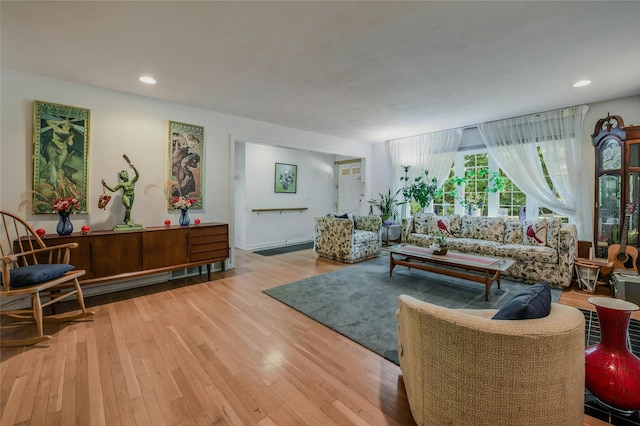 living room featuring light hardwood / wood-style floors