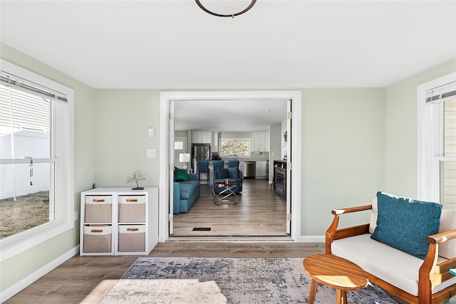 living area featuring wood-type flooring