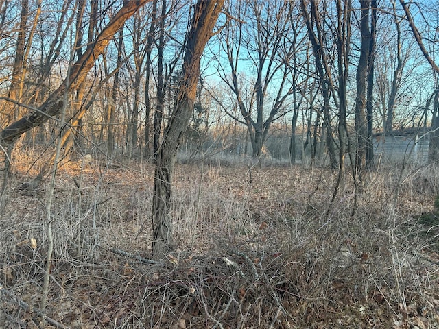  - photo 4