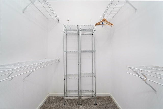 spacious closet featuring carpet flooring