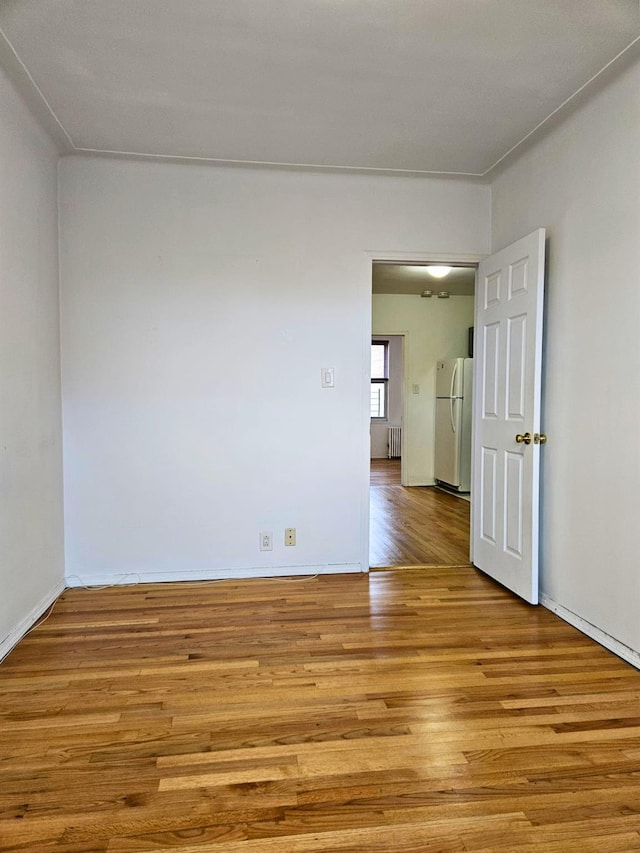 spare room featuring radiator heating unit and light wood-type flooring