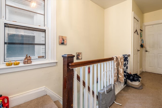 interior space featuring carpet floors