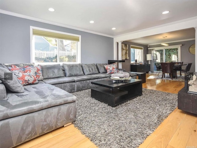 living room with hardwood / wood-style flooring and crown molding