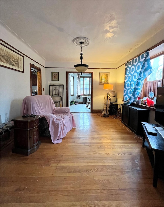 living room with light wood-type flooring