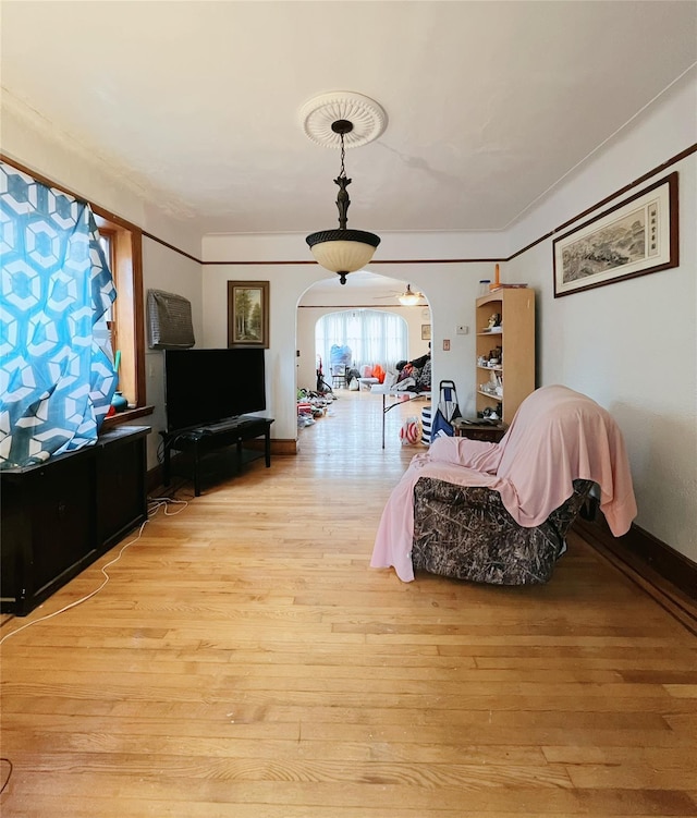 living room with light wood-type flooring