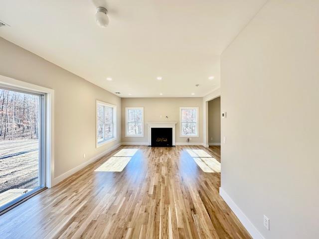 unfurnished living room with light hardwood / wood-style flooring