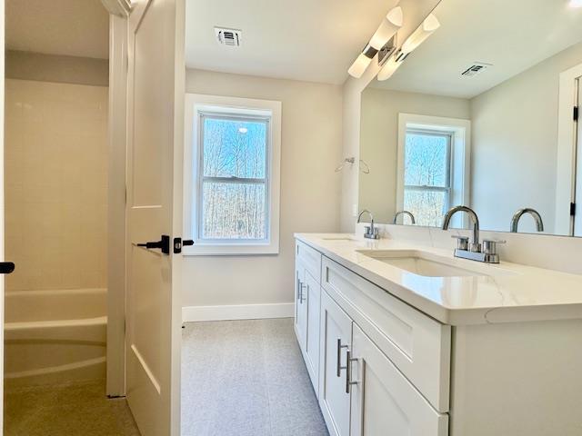 bathroom with vanity and a healthy amount of sunlight