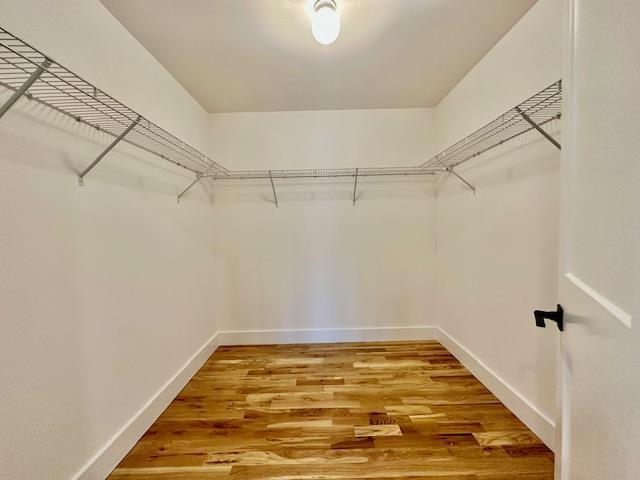 walk in closet featuring wood-type flooring