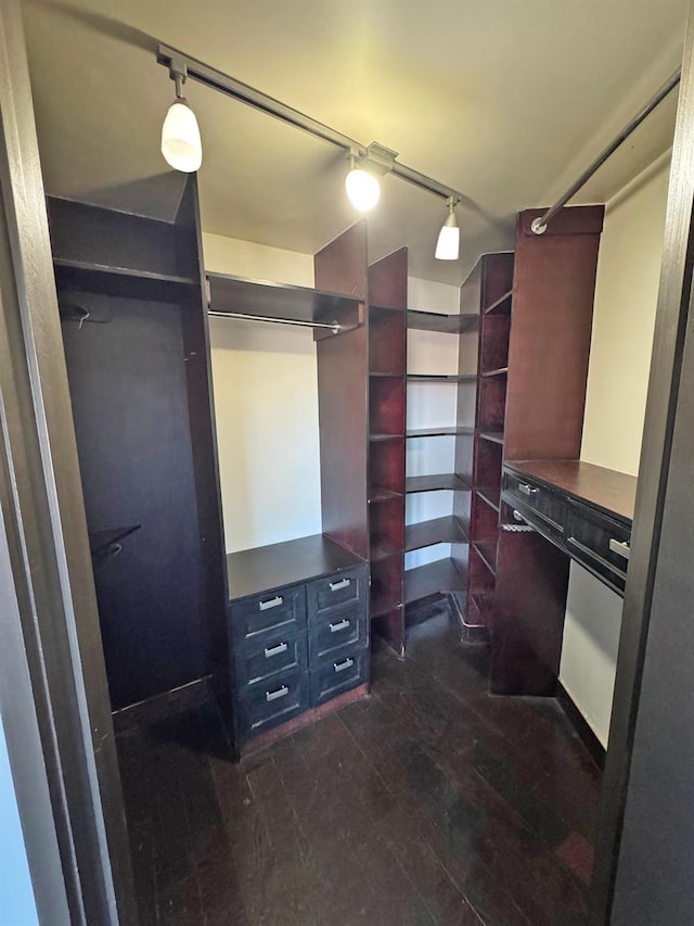 spacious closet featuring dark hardwood / wood-style floors