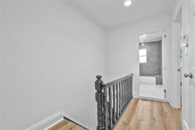 hallway featuring wood-type flooring and ornamental molding