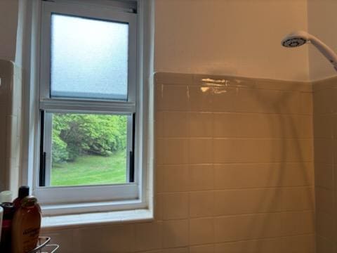 detailed view of a shower