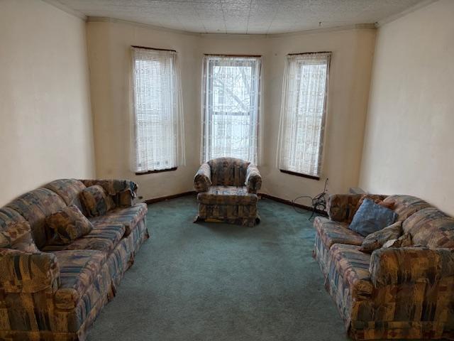 living area featuring carpet