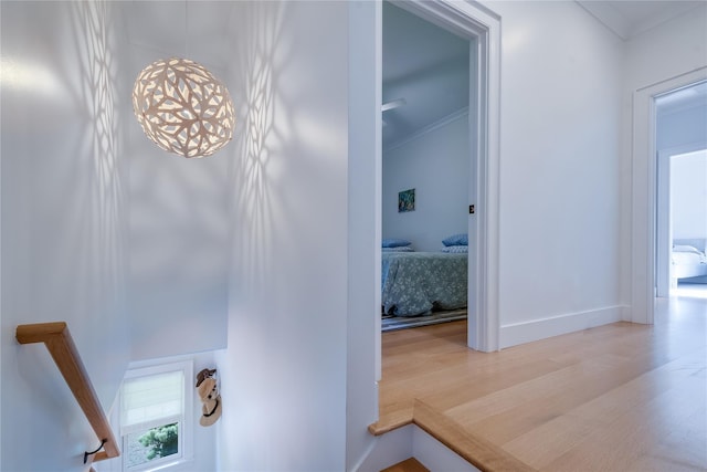 hall featuring wood-type flooring and ornamental molding